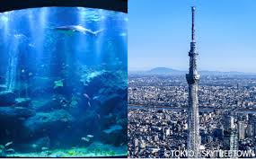 東京スカイツリー内すみだ水族館は体験型プログラムが大人気 東京周辺の人気観光レジャースポットや話題のイベント情報サイト